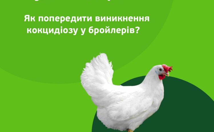  Coccidiosis prevention in broilers