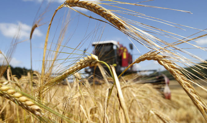  More than a million tons of crops were harvested in Volyn