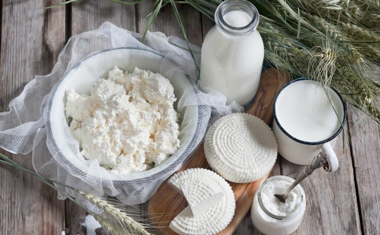  Украина установила рекорд по экспорту молочных продуктов