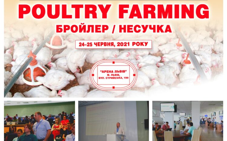  AGROTECHNIKA LLC PARTICIPATED IN THE INTERNATIONAL PRACTICAL FORUM “POULTRY FARMING. BROILER / LAYER »