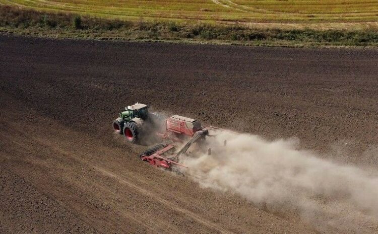  Almost 4.5 million hectares of winter crops have been sown in Ukraine, with Volyn leading the way