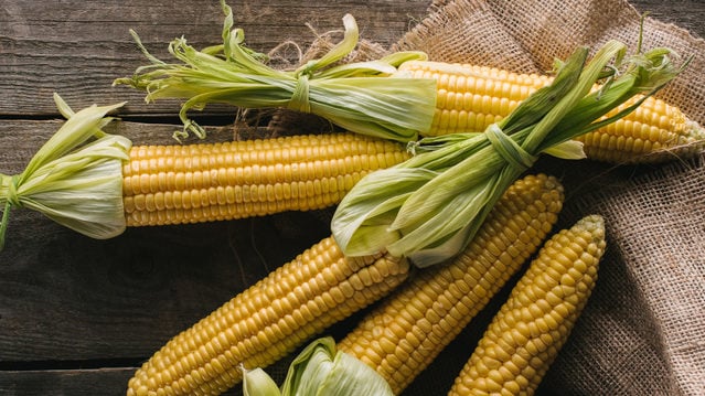  Corn: interesting facts about one of the oldest crops