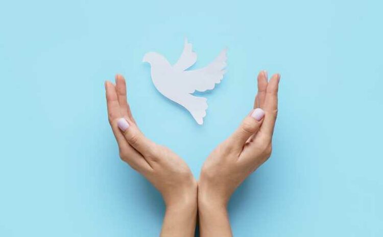  Happy International Day of Peace!