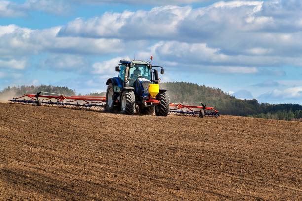  Four oblasts of Ukraine have already finished sowing winter crops