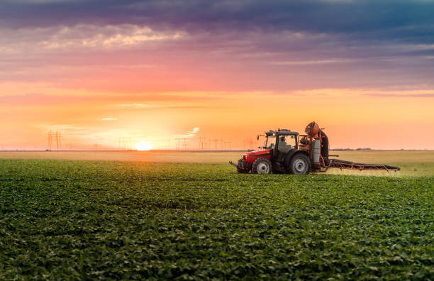  Farmers have started sowing winter cereals