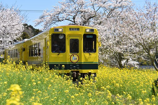  Happy Railroad Workers Day!