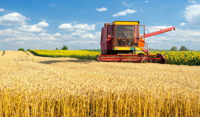  GRAIN HARVEST IN UKRAINE IS COMING TO AN END – 30.6 MILLION TONS HARVESTED