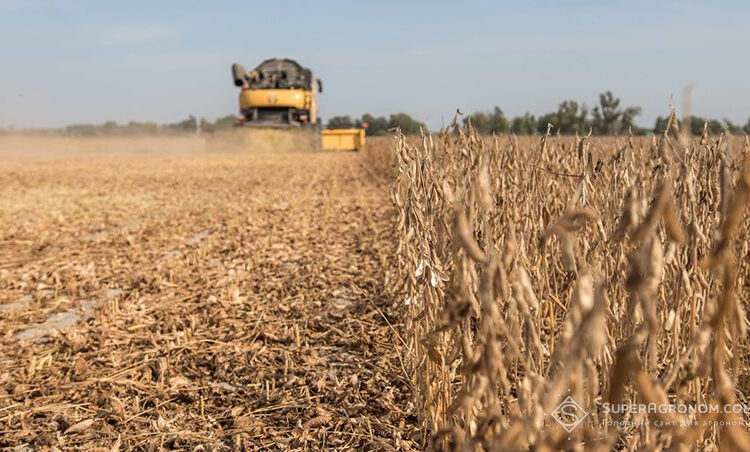  Soybean harvest has begun in Ukraine